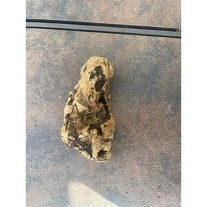 Natural Driftwood for Plants Terrarium Taxidermy Art Projects